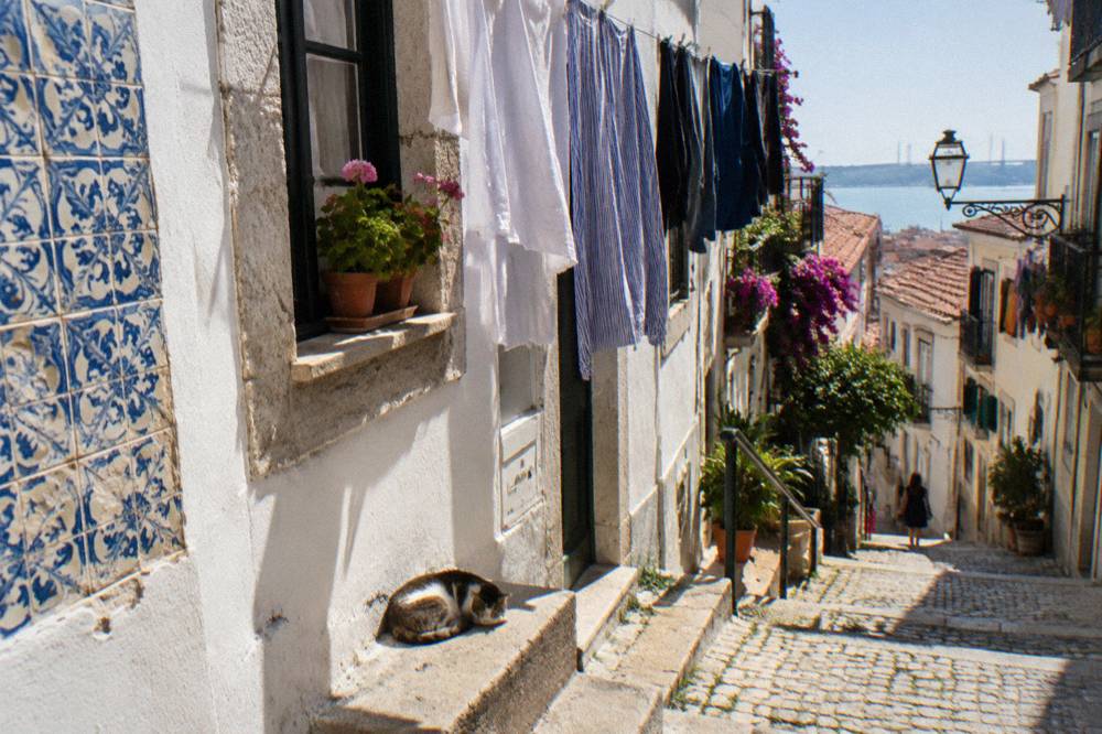 A steep cobbled Alfama lane with hanging laundry, blue azulejo tiles, potted plants, a sleeping cat, and a view toward the Tagus.