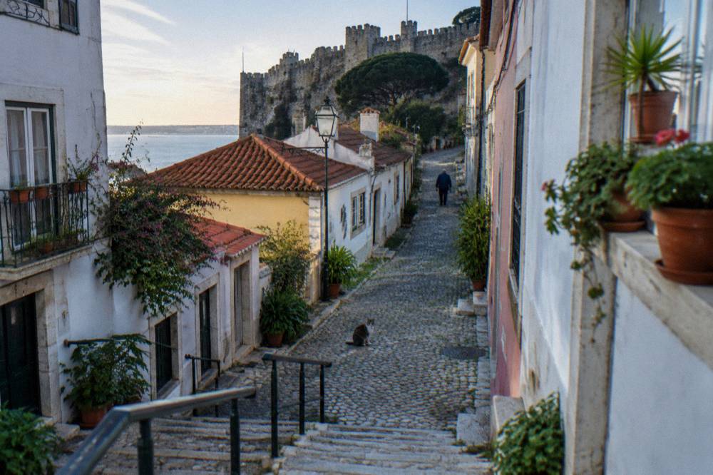 A cobbled lane climbs past white and pastel houses toward fortress walls, with potted plants, a cat, and the Tagus visible beyond.