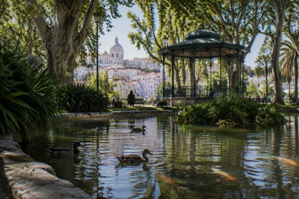 A leafy garden pond with ducks, tall trees, and a green bandstand, with Lisbon hillside buildings in the background.