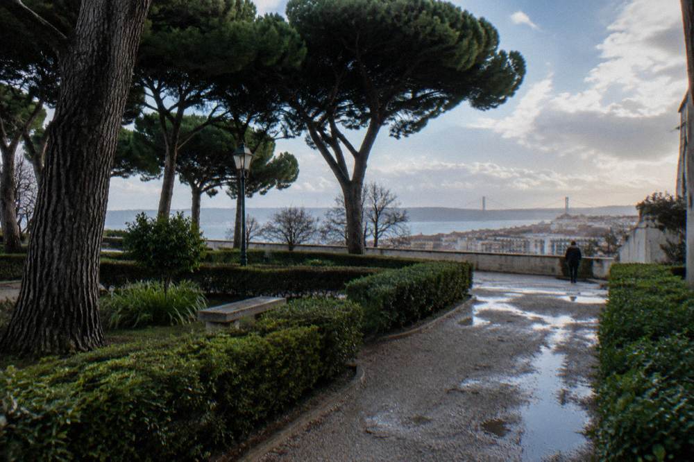 Wet garden path curves between trimmed hedges and tall pine trees toward a river view under a clearing sky.