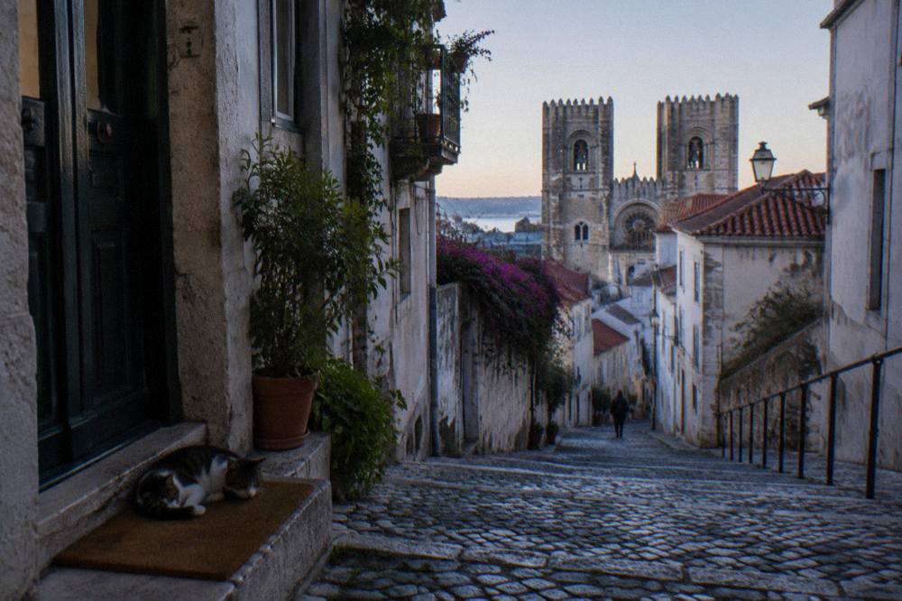 A sleeping cat rests on a doormat beside a narrow cobbled lane leading down to Lisbon Cathedral's twin towers.