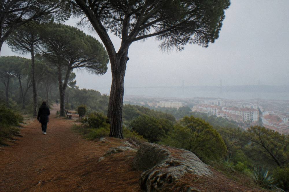 A foggy pine trail on a hillside above Lisbon with a distant city skyline and a few walkers.