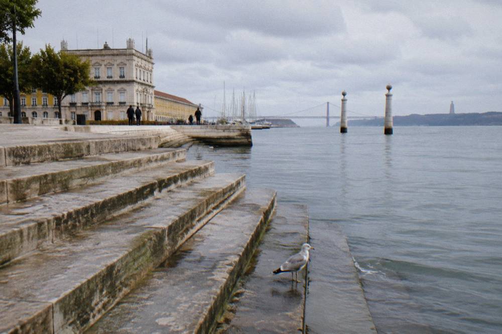 Wide stone steps descend to the Tagus beside a waterfront building, with a gull in the foreground and the bridge in the distance.